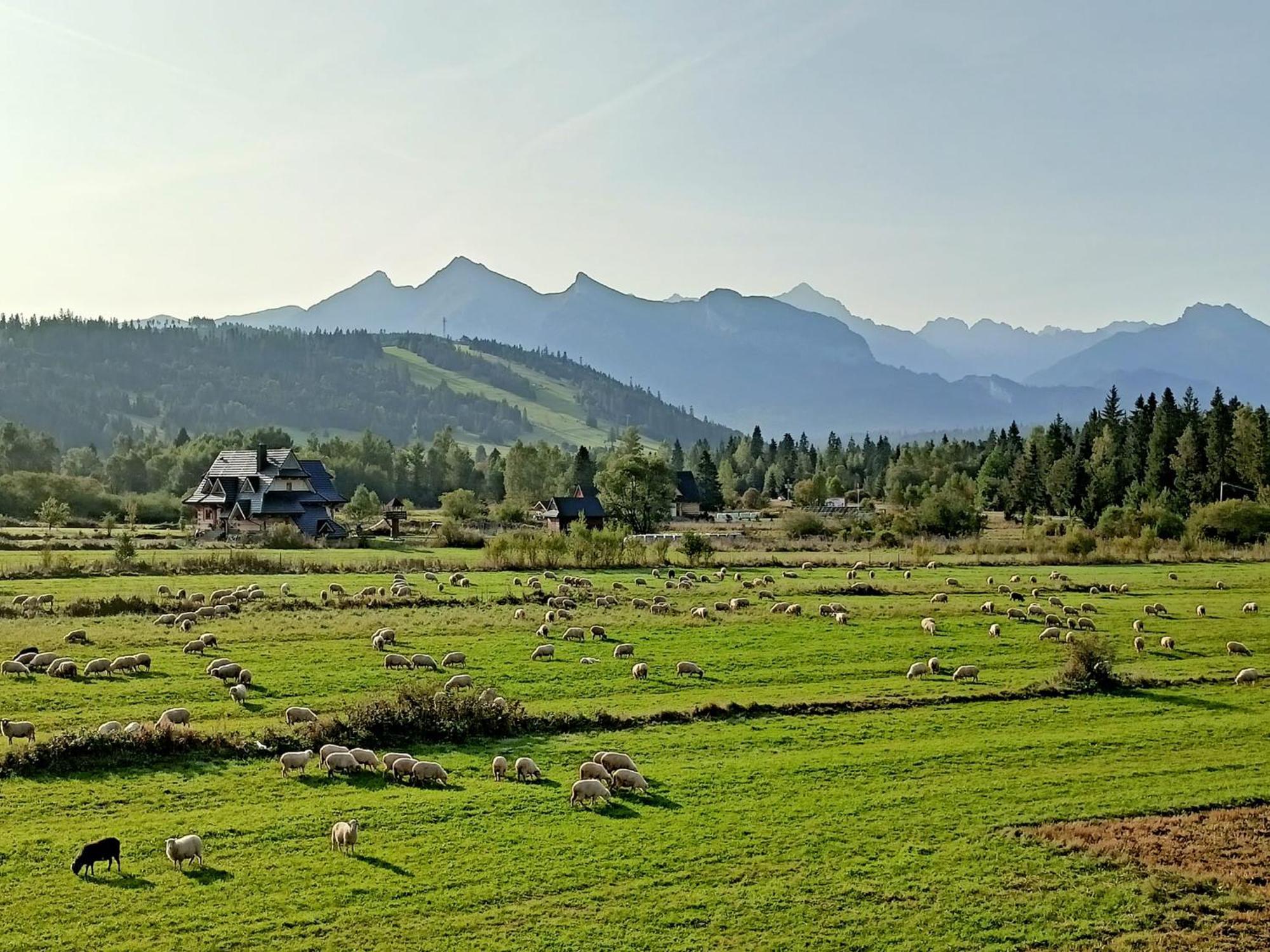 Domek Z Goralska Dusza Sleboda Юргув Екстер'єр фото